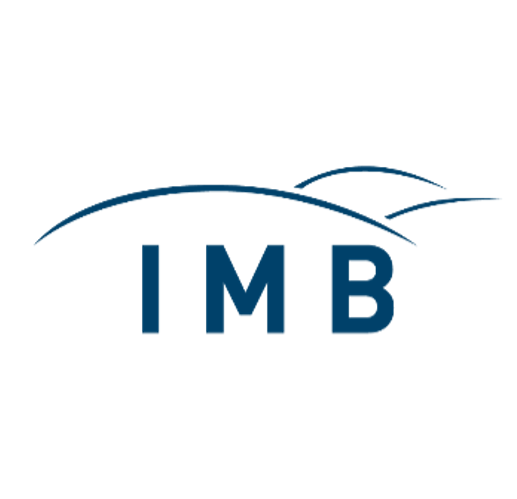 IMB-Institut